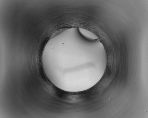 X0000086940653200705141803