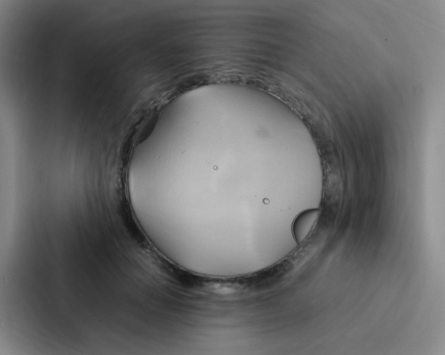 X0000086940654200705141803