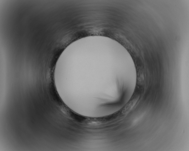 X0000086940658200705141803