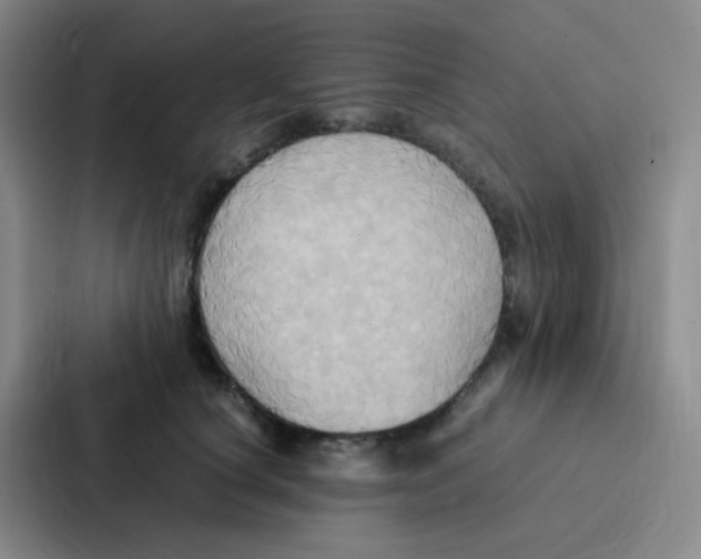 X0000086940660200705141803