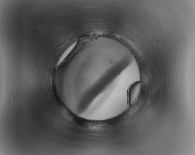 X0000086940661200705141803