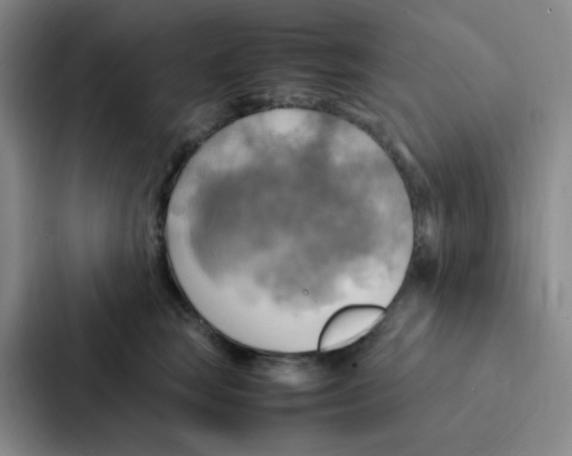 X0000086940663200705141803