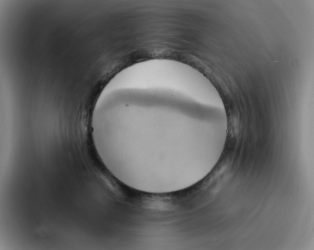 X0000086940664200705141803