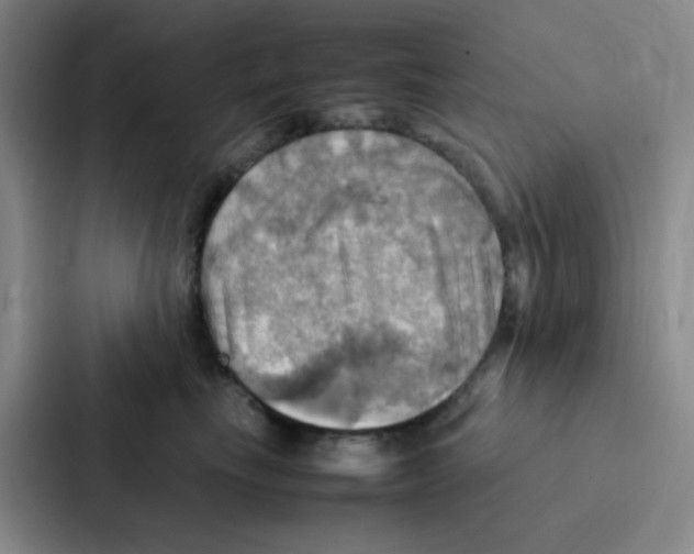 X0000086940665200705141803