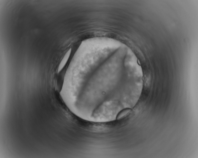 X0000086940666200705141803