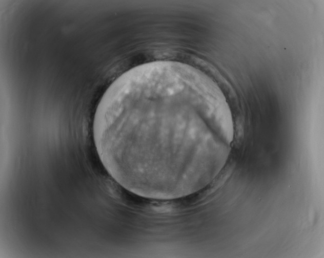 X0000086940667200705141803