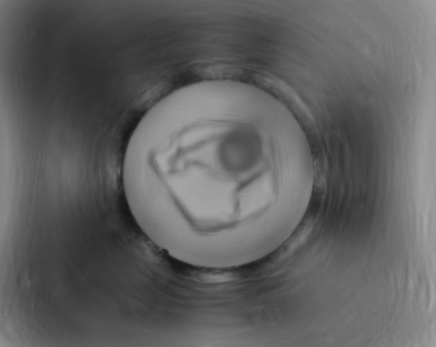 X0000086940669200705141803