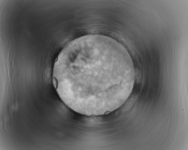 X0000086940670200705141803