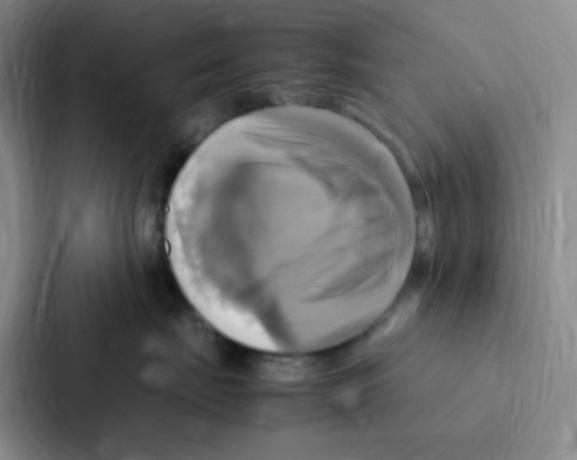 X0000086940671200705141803