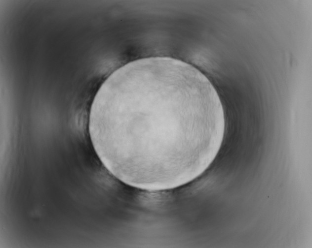 X0000086940672200705141803
