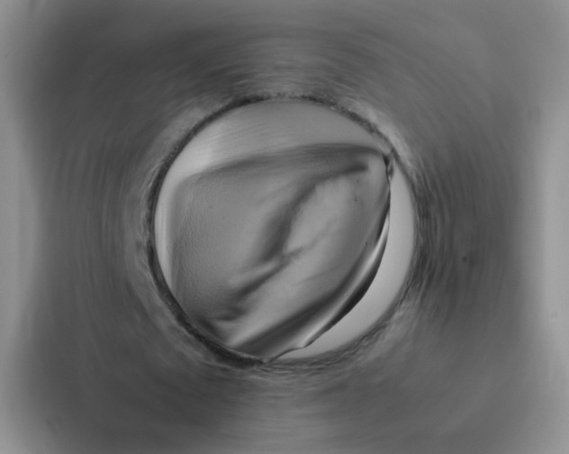 X0000086940673200705141803