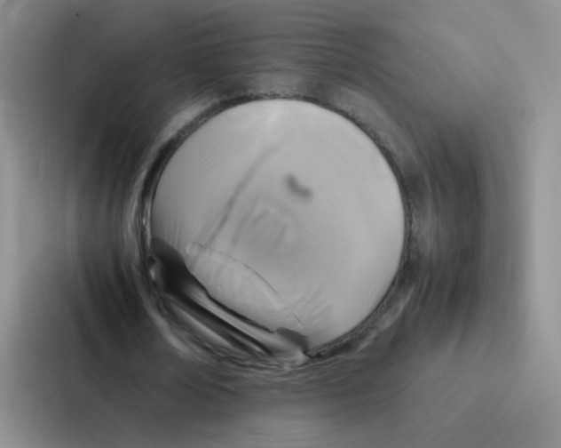 X0000086940674200705141803