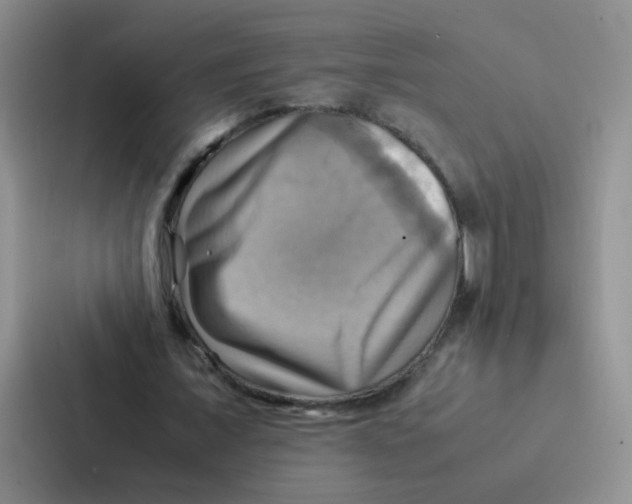 X0000086940675200705141803