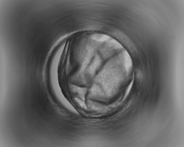 X0000086940676200705141803