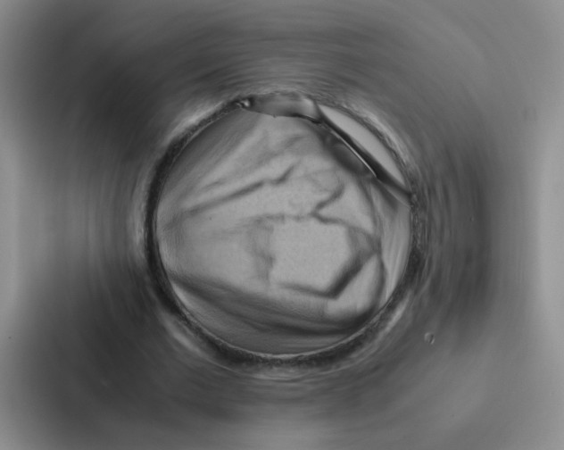 X0000086940677200705141803