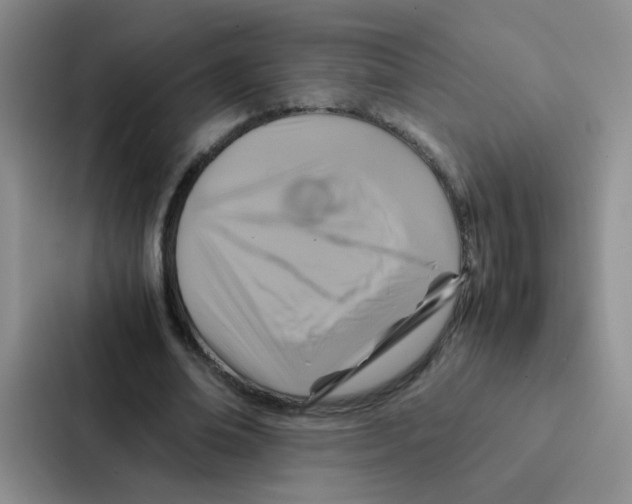 X0000086940678200705141803