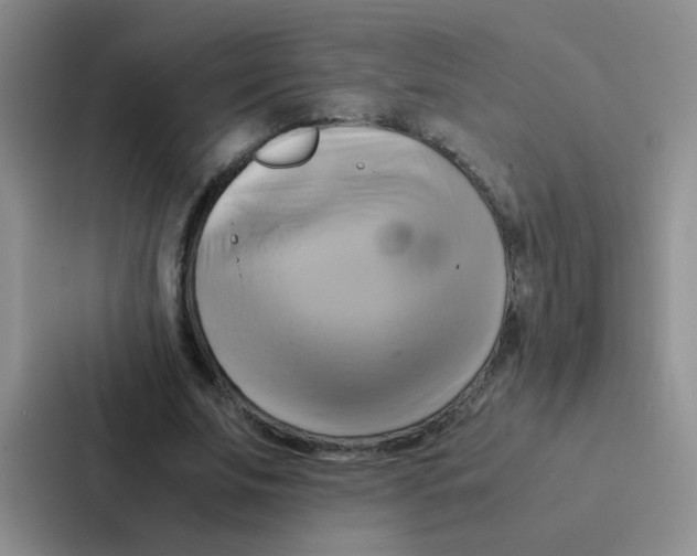 X0000086940679200705141802