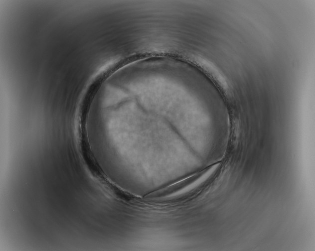 X0000086940680200705141802