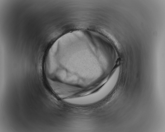 X0000086940681200705141802