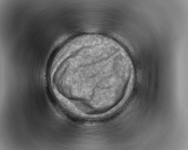 X0000086940682200705141802