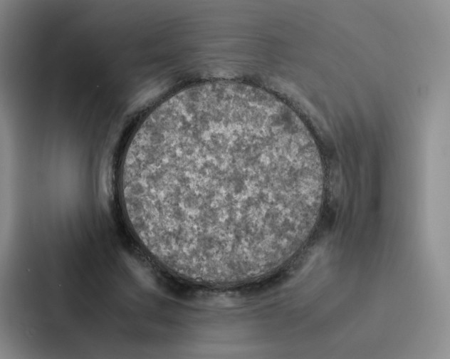 X0000086940683200705141802