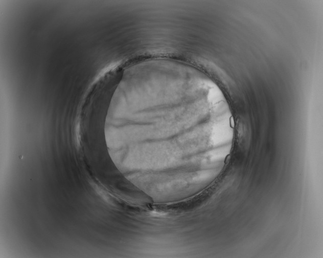 X0000086940684200705141802