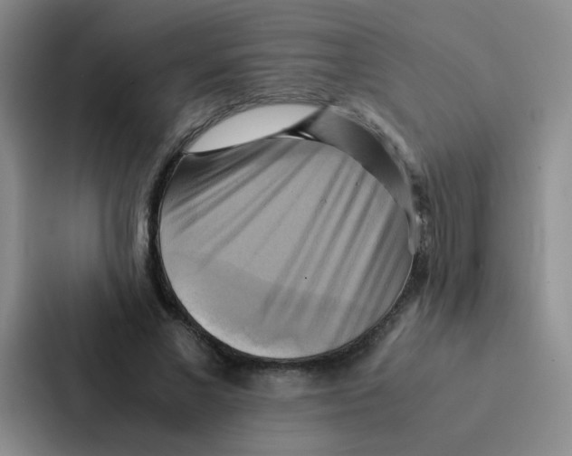 X0000086940685200705141802