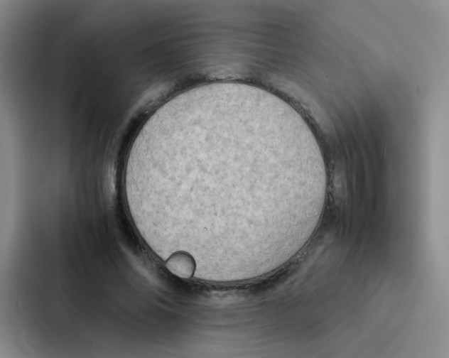 X0000086940686200705141802