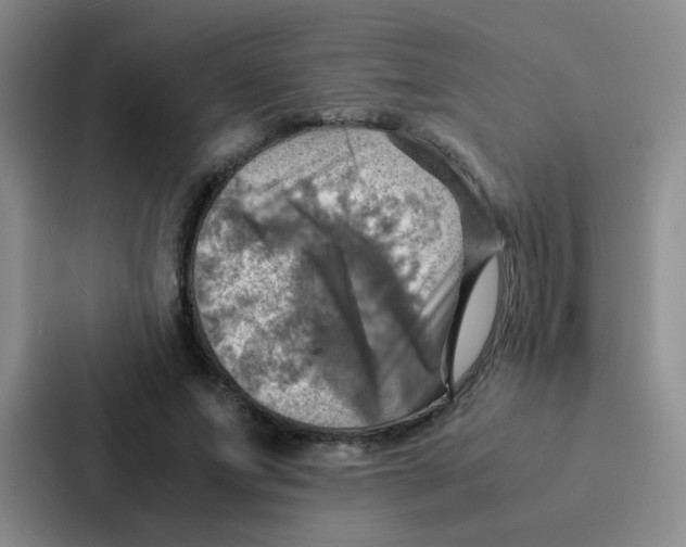 X0000086940687200705141802