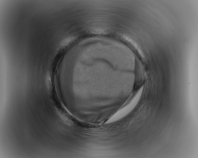 X0000086940688200705141802