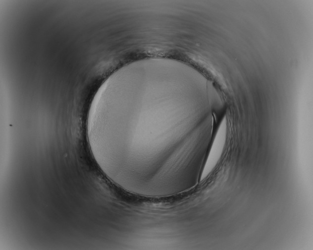 X0000086940689200705141802