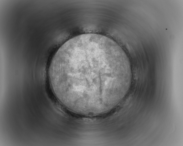 X0000086940690200705141802