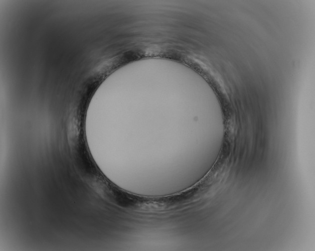 X0000086940691200705141802