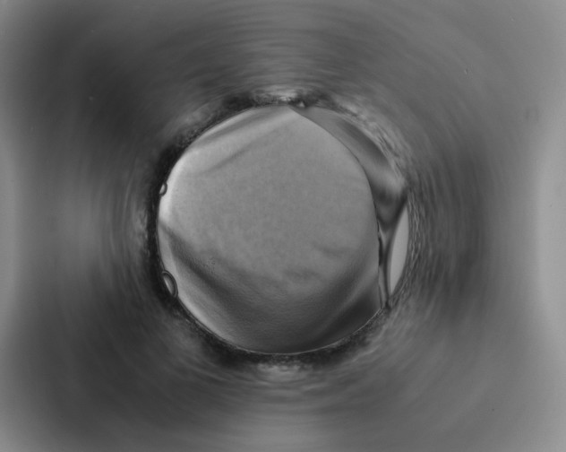 X0000086940693200705141802