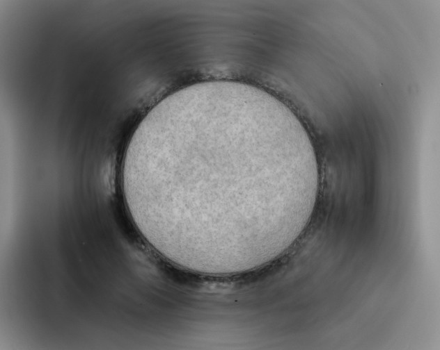 X0000086940694200705141802