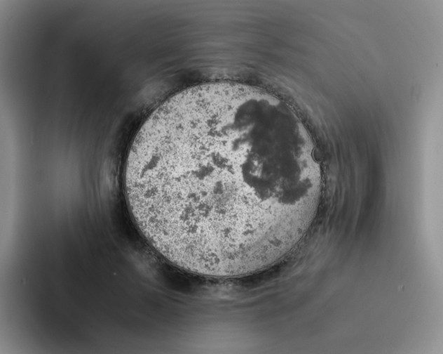 X0000086940695200705141802