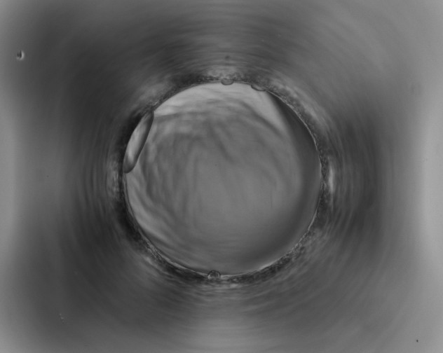 X0000086940696200705141802