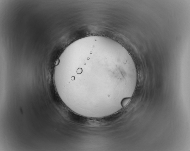 X0000086940703200705141802