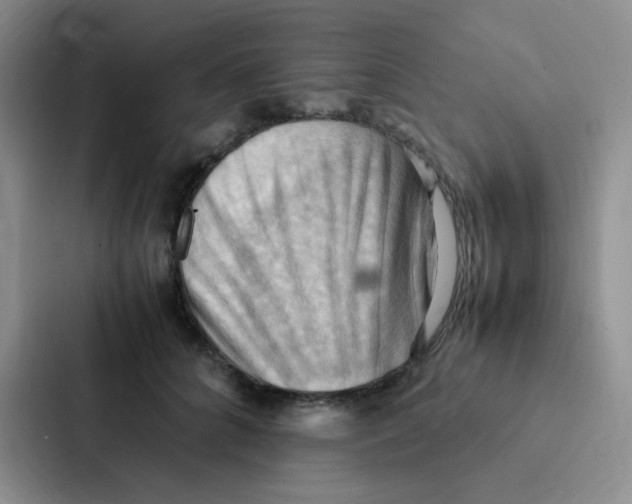 X0000086940704200705141802