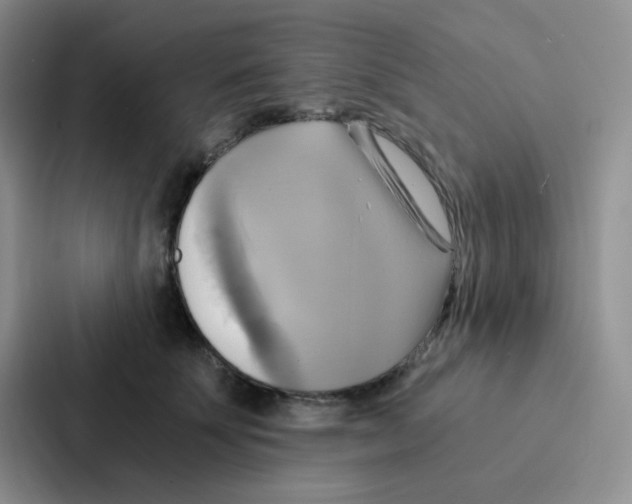 X0000086940707200705141802