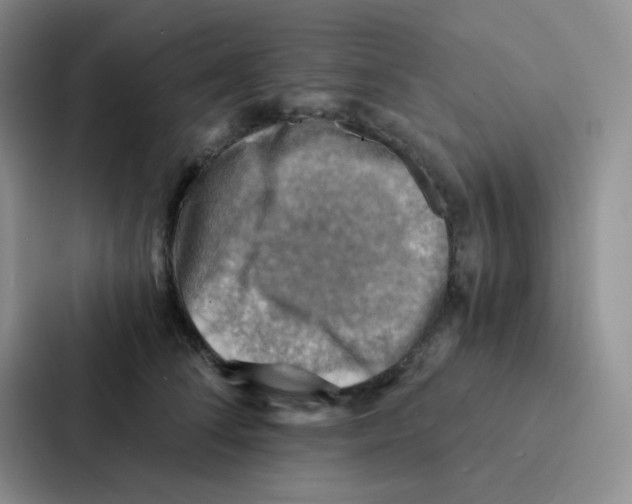 X0000086940708200705141802