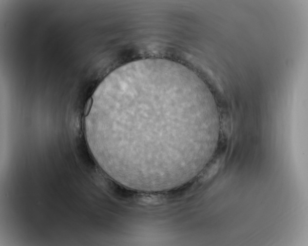 X0000086940709200705141802