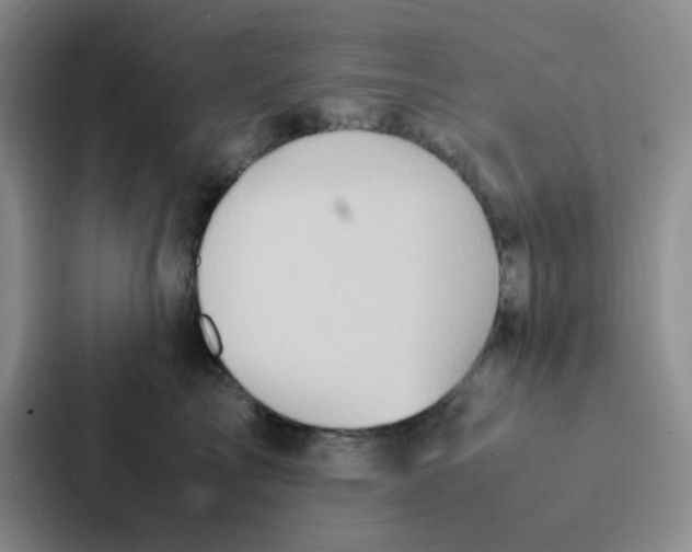 X0000086940713200705141802