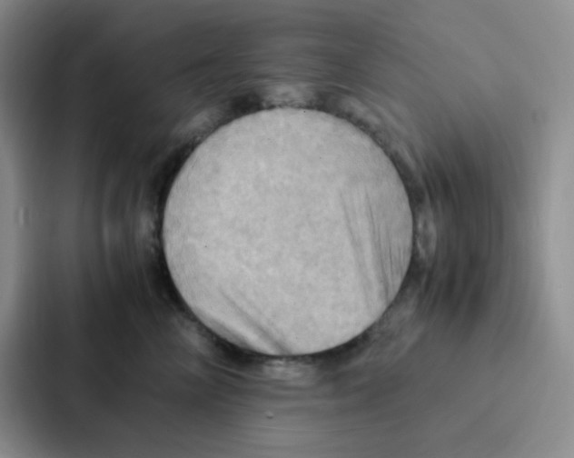 X0000086940714200705141802