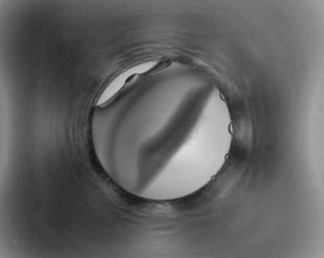 X0000086940715200705141802