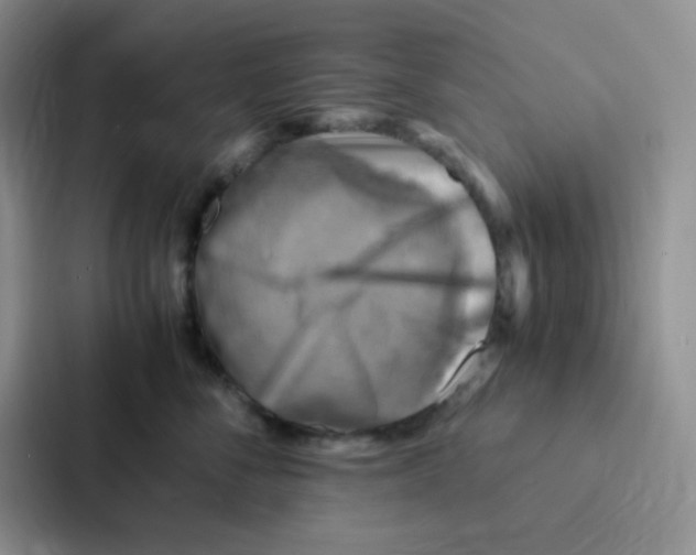 X0000086940716200705141802