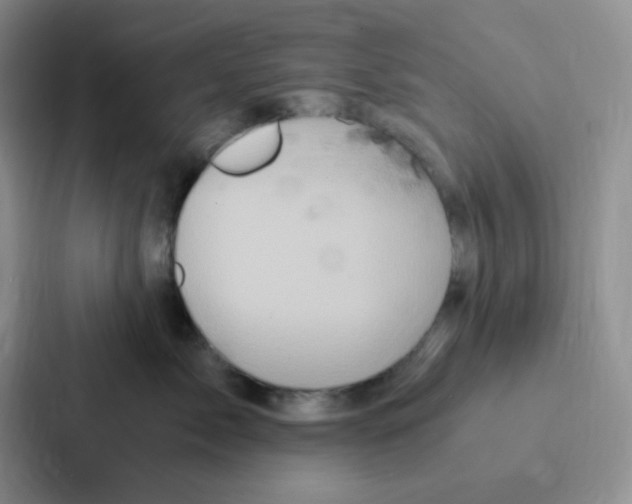 X0000086940717200705141802