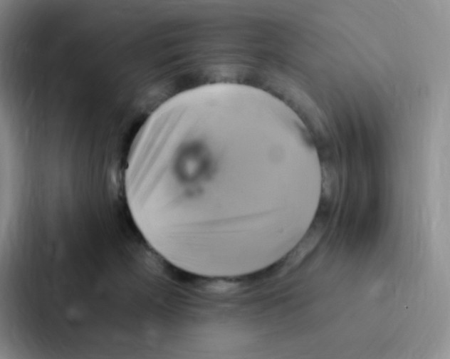 X0000086940718200705141802