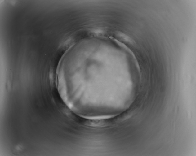 X0000086940720200705141802