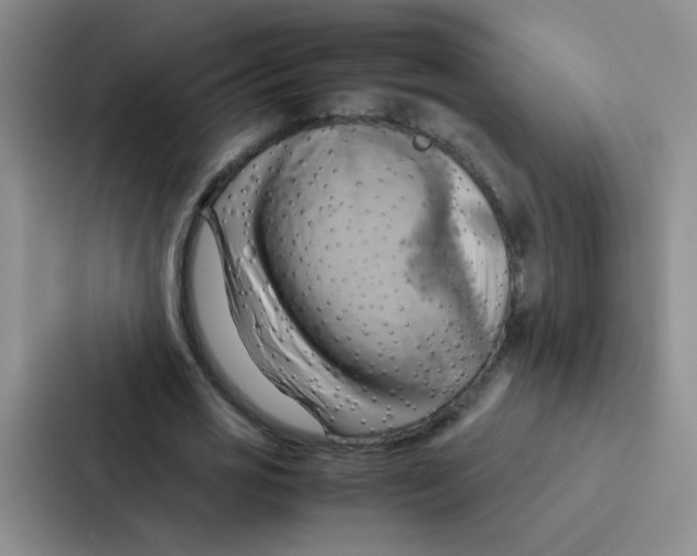 X0000086940725200705141801